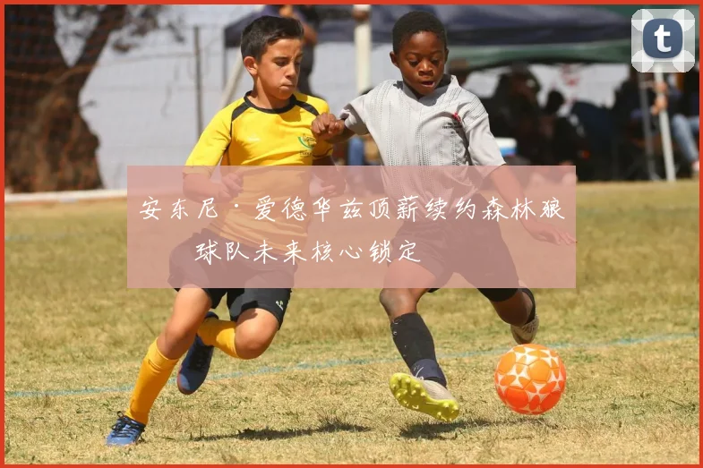 安东尼·爱德华兹顶薪续约森林狼，球队未来核心锁定