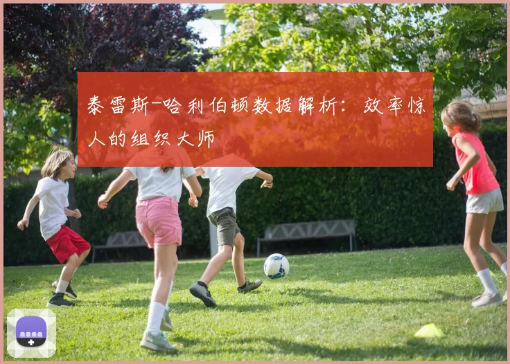 泰雷斯-哈利伯顿数据解析:效率惊人的组织大师